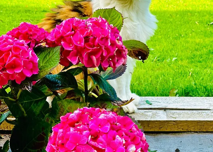 Dom wakacyjny Le Jardin De Lokijoy